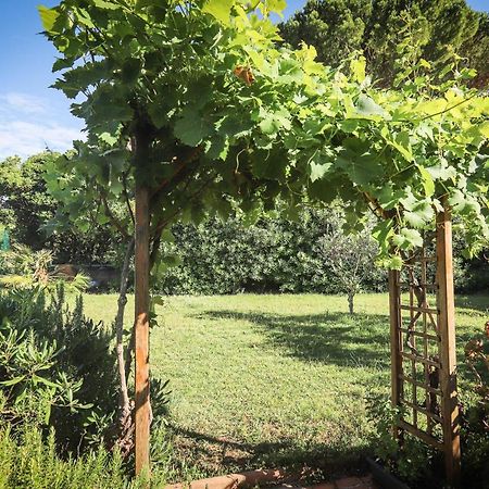 Appartamento Orangeraie Du Cap D'Antibes Esterno foto